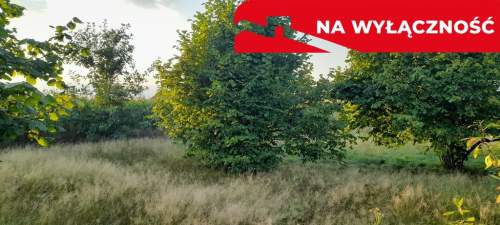Ładna, uzbrojona działka pod lasem-33a-Wilczopole