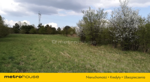 Działka na Jurze- Kromołów
