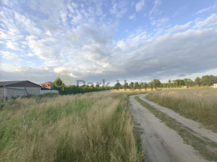 Działka 1949 m Smogorzewo - cisza, las i spokój