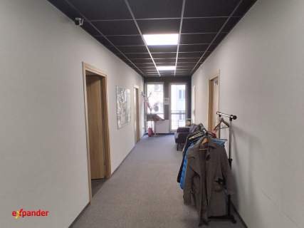 biuro klasy premium centrum miasta 200 m2