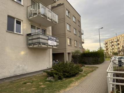 3 pokoje na wynajem Jasień Balkon Kom. lokat