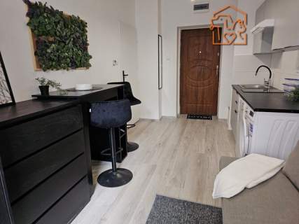 Katowicka 2, Podgórze, przyjazne zwierzętom studio