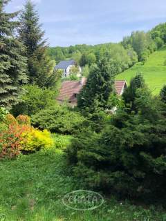 Działka/Zagórze Śląskie/okolice