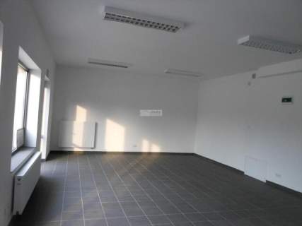 Nieruchomość komercyjna do wynajęcia, 550 m2, Warszawa
