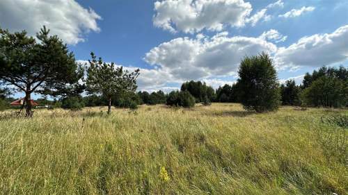 DZIAŁKA 1041M2, WZ, GRABOWIEC