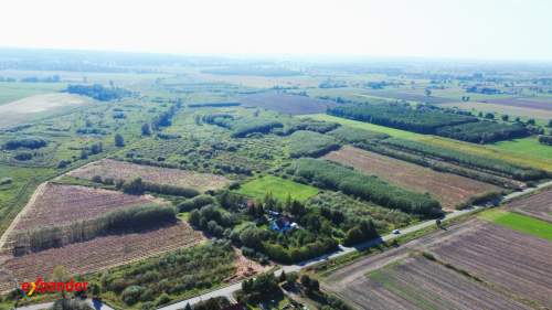Grunty rolne Stankowo, aktywne plantacje wierzby