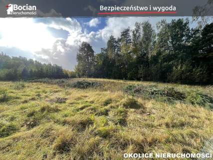 Zaciszne działki z własnymi drzewami -Kleszczewie 