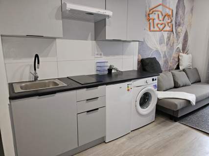 Katowicka 2, Podgórze, przyjazne zwierzętom studio