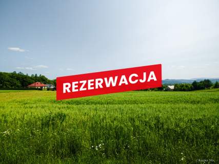 Na sprzedaż działka 79 arów- Domosławice