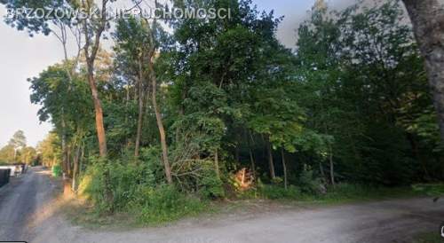 Raszyn, Sękocin Las, 4652 m2, MPZP, 2 wolnostojące