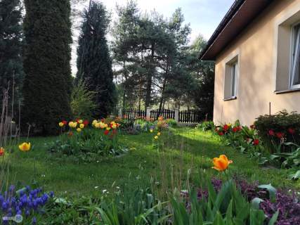 Piękna, widokowa działka z domem w Św. Katarzynie