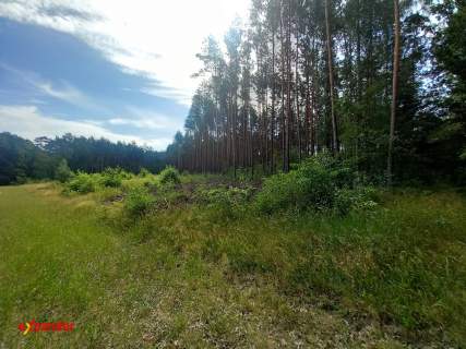 DZIAŁKA Z WARUNKAMI ZAB. 5,9108 HA ORAZ LAS