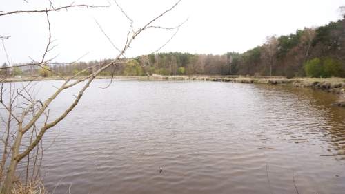 5,42 ha, Stawy rybne, las, Zemborzyce, Lublin