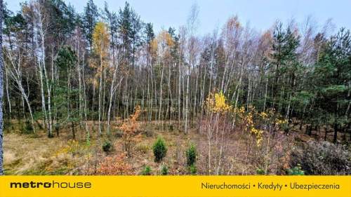 DOM 140 m działka 5000 m ODDANY DO UŻYTKU