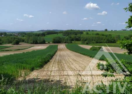 Rolna z potencjałem, rekreacja, 1ha, Kraków 15km