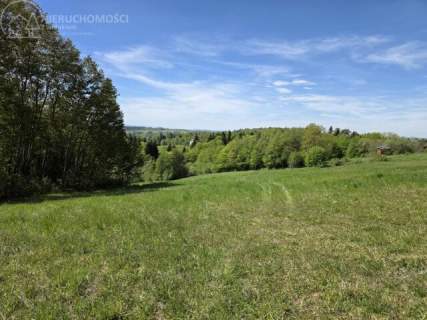 Urokliwa działka z widokiem na Tatry 58 arów