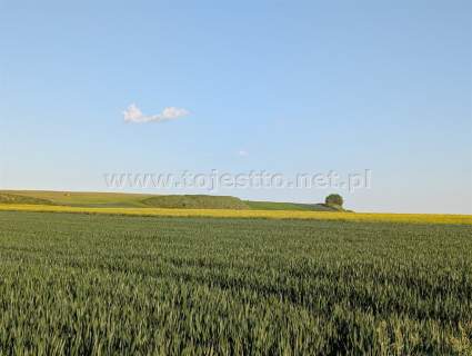 GRÓDEK, działka zabudowana 1700m2, dom budynki