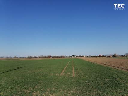 40 arów Nowa Huta