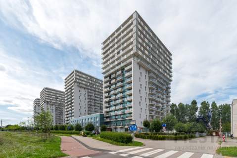 1-pok, hala, 4 Oceany, długoterminowo 