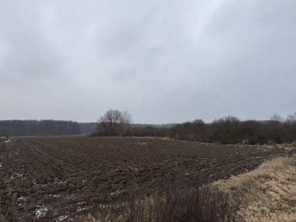 Syndyk sprzeda 1/2 udziału w prawie własności nieruchomości