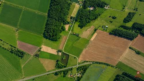 Działka rolno-budowlana 2,5 ha. Nowosiółki