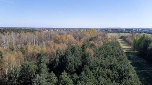 Działka rolno-leśna Zendek