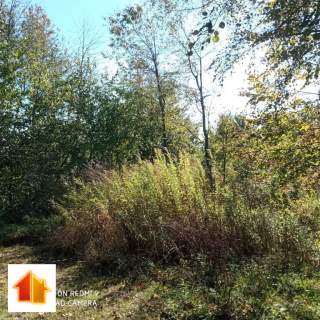 Wielopole Skrzyńskie - działka 1,47 ha z WZ