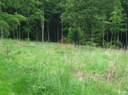 Działka budowlana/usługowa w zaciszu lasu 3350m2