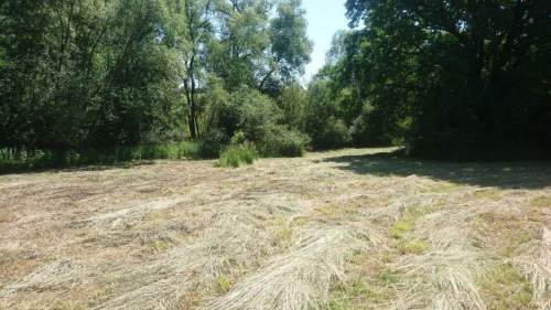 Cieszyn - Mnisztwo 4 działki budowlane