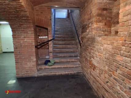 Lokal 65 m2 centrum Kolbuszowej