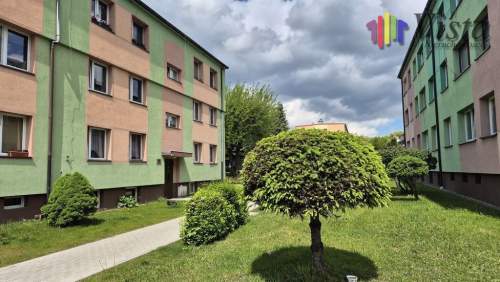 Wynajem, doskonała lokalizacja, 1 piętro