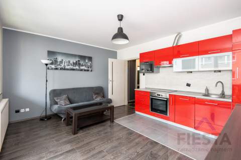 Mieszkanie do wynajęcia, 40 m2, Poznań