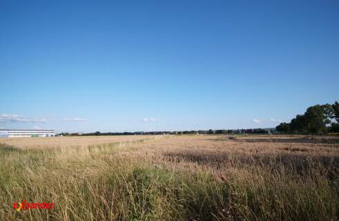 Działka inwestycjna, Łąka, 5,2h strefa przemysłowa