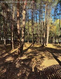 Strzeniówka, Nadarzyn, 1130 m2, MPZP, mieszkaniowa