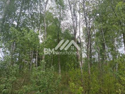 1502m2 - Mościska/Adamowizna na dwulokalówkę
