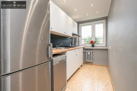 Mieszkanie do wynajęcia, 39 m2, Siemianowice Śląskie