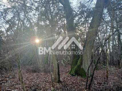 6500 m.kw., budowlano-leśna, Książenice
