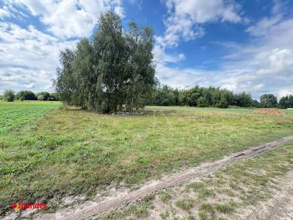 Działka rolna o pow. 4180 m2, Rajsków Kalisz