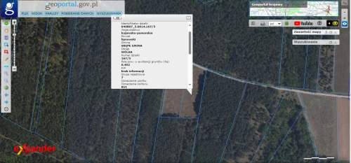 DZIAŁKA ROLNA Z MOŻL. W.Z. 4020 M2 ŚCIANA LASU