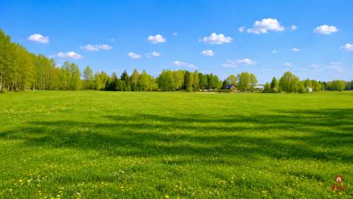 Działka rolno-budowlana 2,5 ha. Nowosiółki