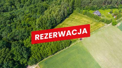Na sprzedaż działka 79 arów- Domosławice