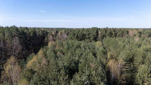 Działka rolno-leśna Zendek