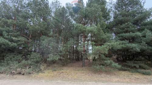 Michałów - urokliwa działka budowlana 5500 m2