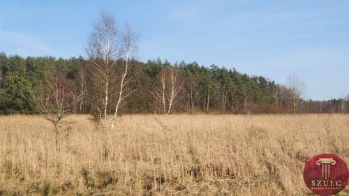 Bądź pierwszy Wybierz piękną działkę.