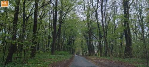 Marszowice,POLANOWICE,Niedżwiedż,DOM Z GARAŻEM