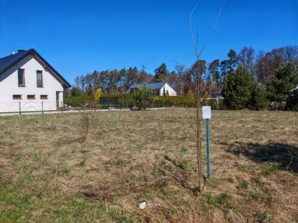 Działka 1170m2 Czapielsk, warunki zabudowy, media