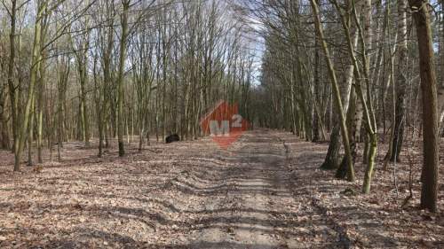 Dom na sprzedaż w Szczecinie, Płonia-Śmierdnica