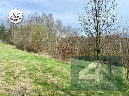 Działka budowlana 1 hektar gmina Mogilany 