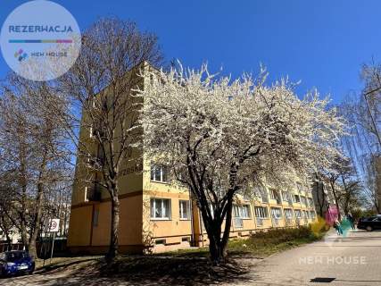 REZERWACJA, 3-pok, parter, pow. 61,4 m2, loggia
