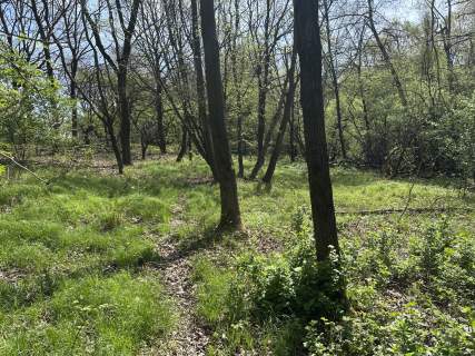 Działka Libertów, ul. Pogórze - 1,78ha w tym 11a budowlanej